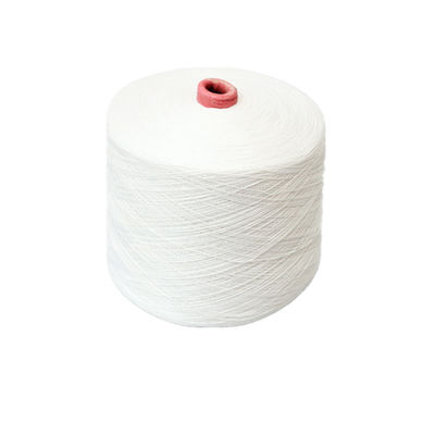 30s 30/2, 30/3 100% Polyester Ring Spun Yarn Polyester Knitting Yarn