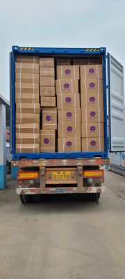 Color 40/2 100% Polyester Sewing Thread With High Tenacity