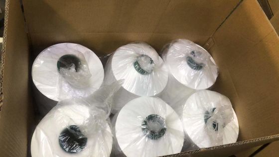 Raw White 300D/96F DTY Polyester Yarn From Textile Manufacturers