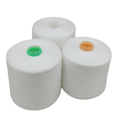 20/2, 20/3, 40/2, 40/3 100% Polyester Ring Spun Yarn Factory Low Price