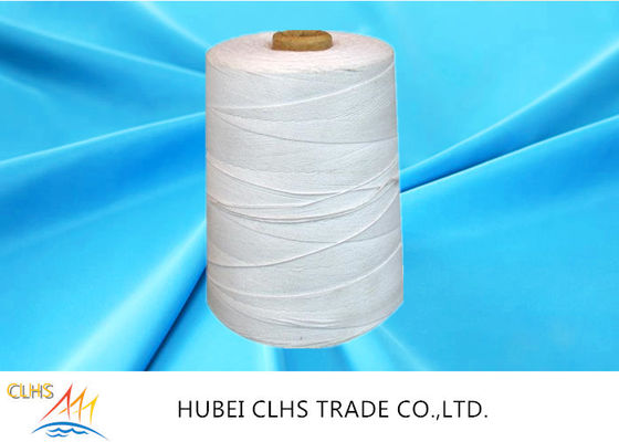 Dye Tube 20/2 20/3 Polyester Ring Spun Yarn High Tenacity