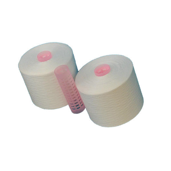 Raw White 100% Polyester Ring Spun Yarn Factory Machine Sewing Yarn 30/2, 30/3, 40/2, 40/3